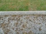 image of grave number 583636